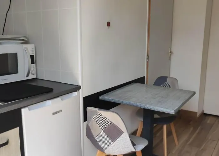 Privee De 24m2 A 20 Min De Puy Du Fou Ferienhaus Vendrennes