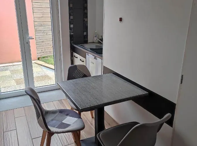 Privee De 24m2 A 20 Min De Puy Du Fou Vendrennes